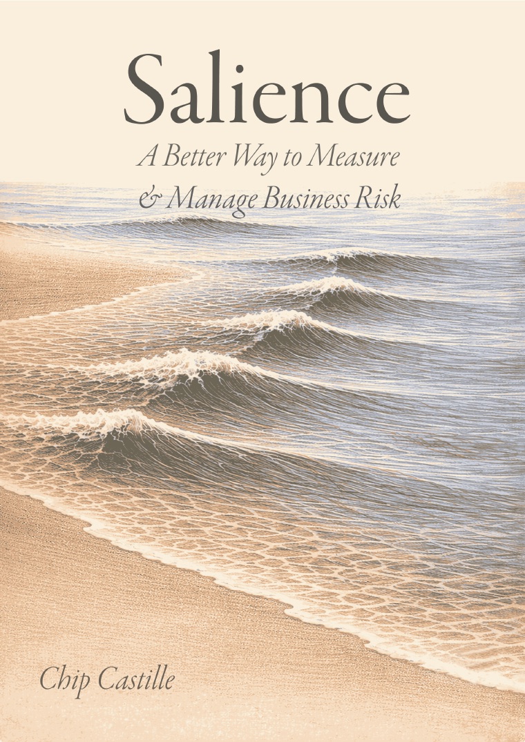 Cover of Salience: A Better Way to Measure & Manage Business Risk